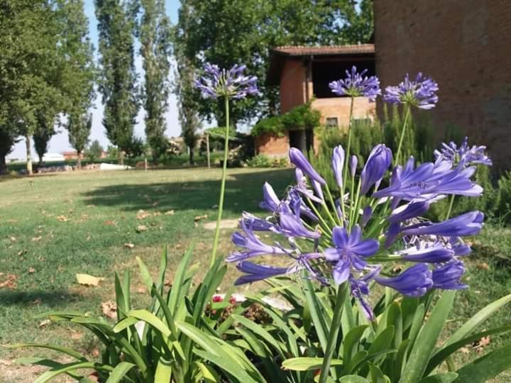 B&B Il Naviglio Di Antonelli Fabio Bastiglia Bagian luar foto